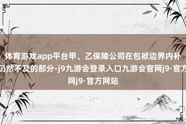 体育游戏app平台甲、乙保障公司在包袱边界内补偿后仍然不及的部分-j9九游会登录入口九游会官网j9·官方网站