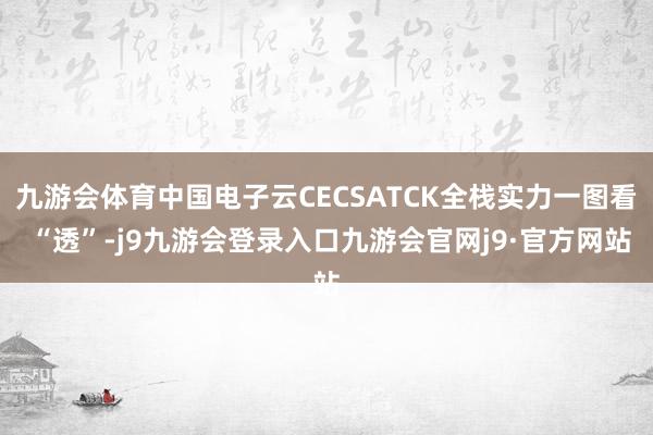 九游会体育中国电子云CECSATCK全栈实力一图看 “透”-j9九游会登录入口九游会官网j9·官方网站